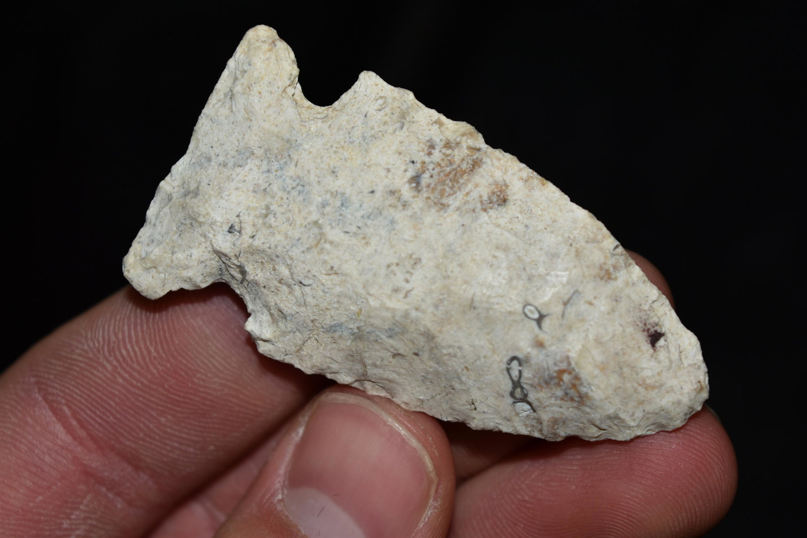 2 5/16" Burlington Chert Godar Point, FB Rick Anderson,: 2 5/16" Burlington Chert Godar Point, FB Rick Anderson, Clark Co, Missouri, Arrowhead, Native American, Artifact