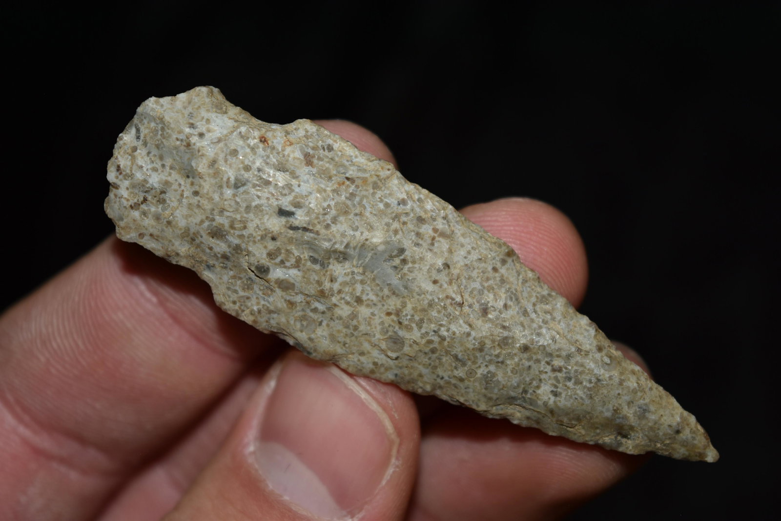 2 3/4" Adena Point, FB Rick Anderson, Lewis Co,: 2 3/4" Adena Point, FB Rick Anderson, Lewis Co, Missouri, Arrowhead, Native American, Artifact