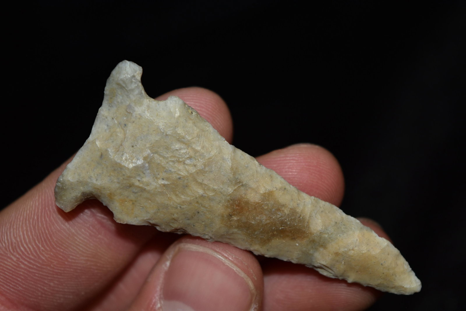 2 1/2" Spectacular Turin Point, FB Terry Guinn, Knox: 2 1/2" Spectacular Turin Point, FB Terry Guinn, Knox Co, Missouri, Arrowhead, Native American, Artifact
