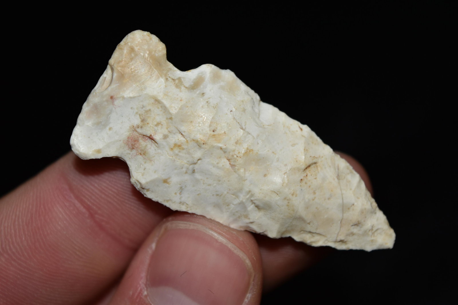 2" Burlington Rice Lobed Point, FB Terry Guinn, Knox: 2" Burlington Rice Lobed Point, FB Terry Guinn, Knox Co, Missouri, Arrowhead, Native American, Artifact
