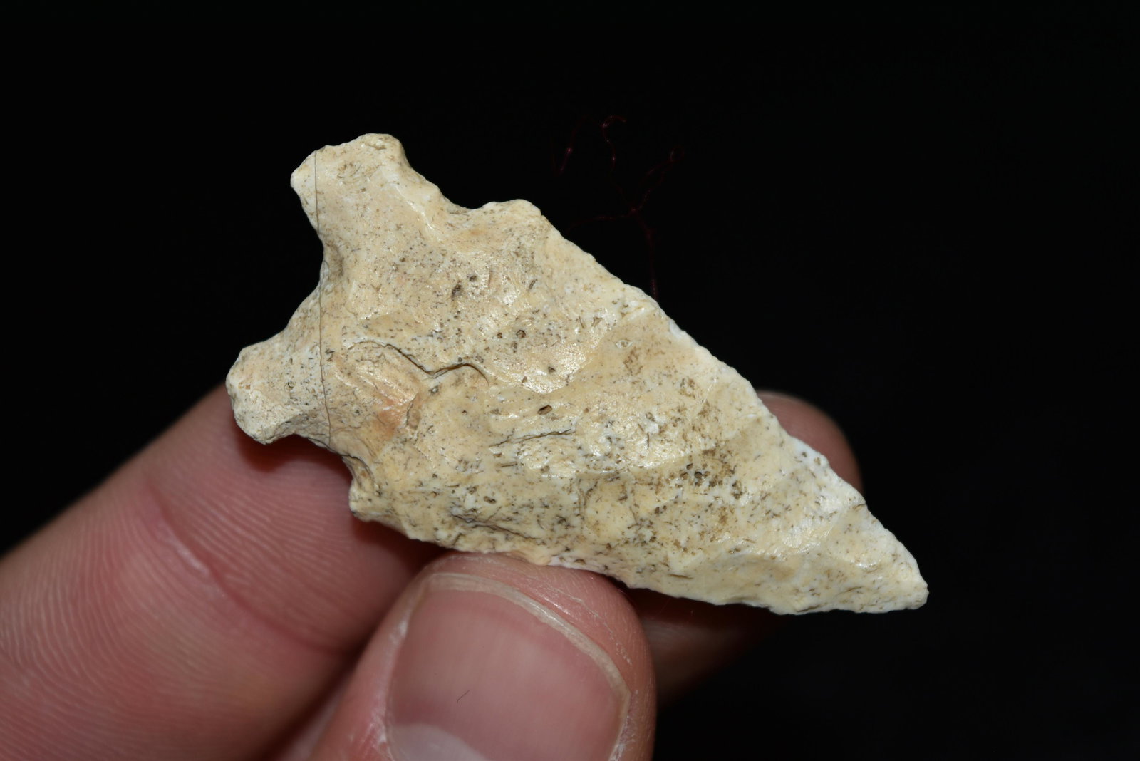 1 15/16" Graham Cave Point, FB Terry Guinn, Knox Co,: 1 15/16" Graham Cave Point, FB Terry Guinn, Knox Co, Missouri, Arrowhead, Native American, Artifact