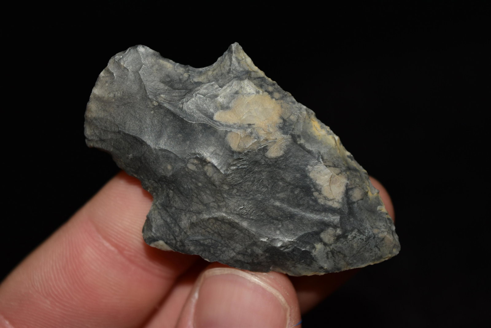 2 3/16" Amazing Color Dickson Adena Point, FB Terry: 2 3/16" Amazing Color Dickson Adena Point, FB Terry Guinn, Knox Co, Missouri, Arrowhead, Native American, Artifact