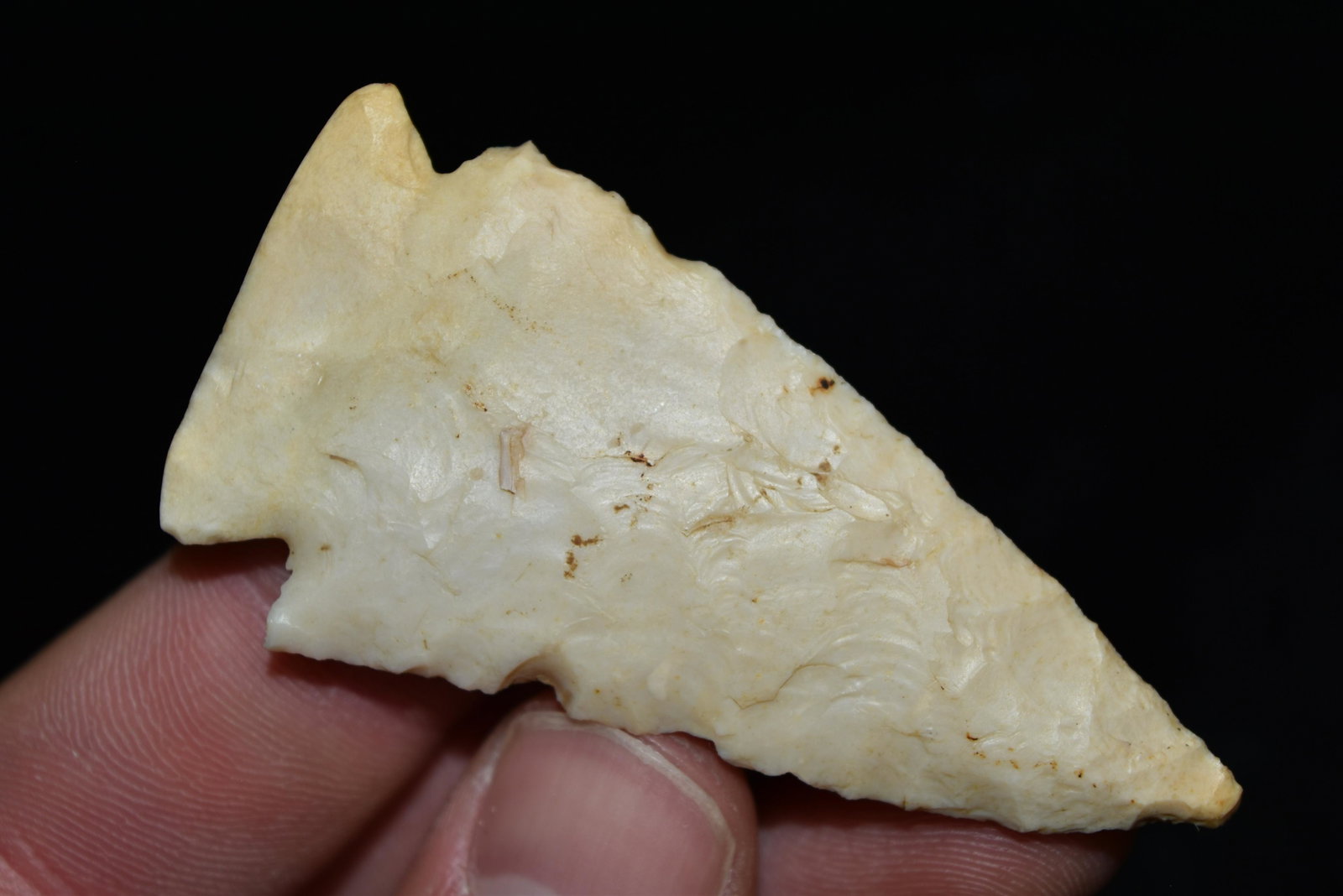 2 5/8" Neuberger Point, FB Frank Waelder, Adams Co,: 2 5/8" Neuberger Point, FB Frank Waelder, Adams Co, Illinois, Arrowhead, Native American, Artifact