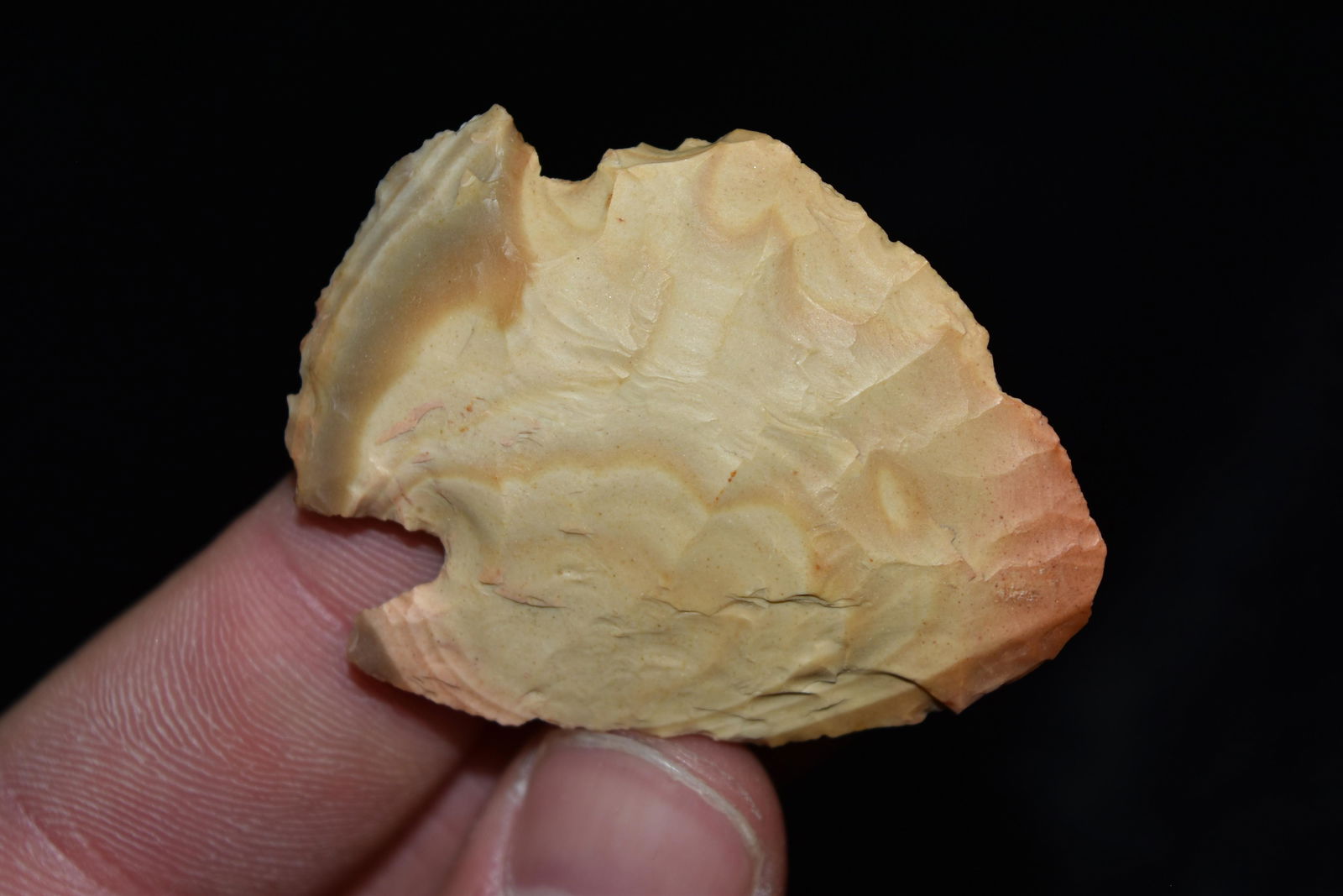 1 7/8" Hopewell Point, Arkansas: 1 7/8" Hopewell Point, Arkansas