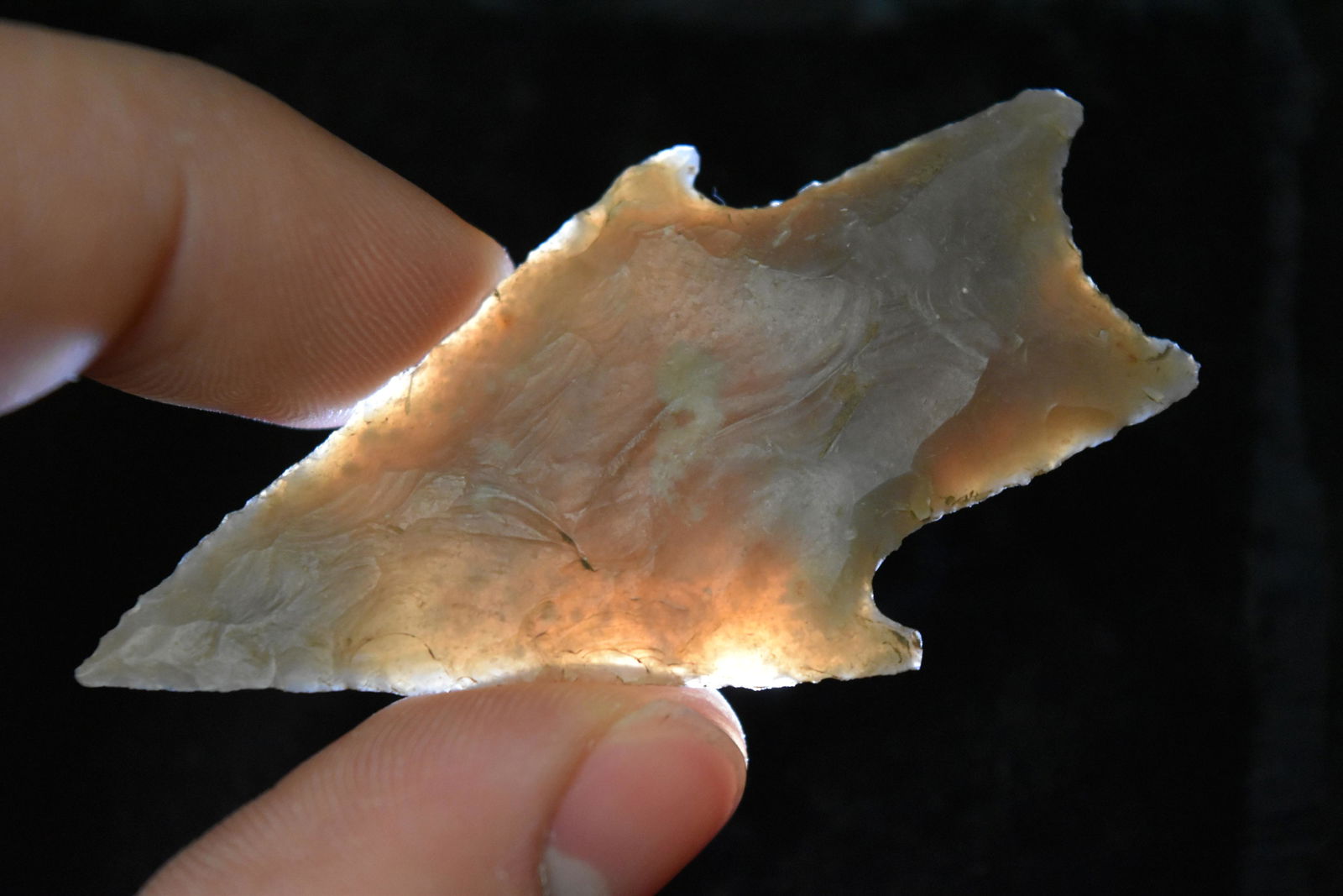 2 5/8" Translucent Perdenales Point, FB David Shand (1 of 8)