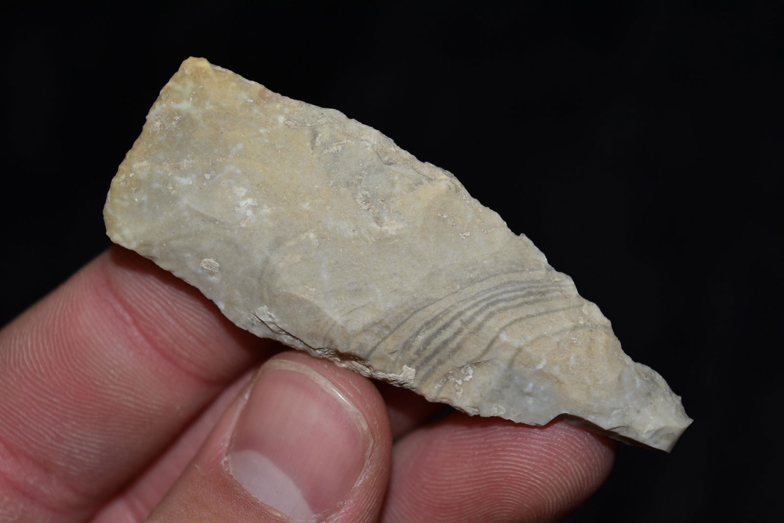 2 11/16" Zorra Point, FB David Shand near Wimberly, (1 of 5)