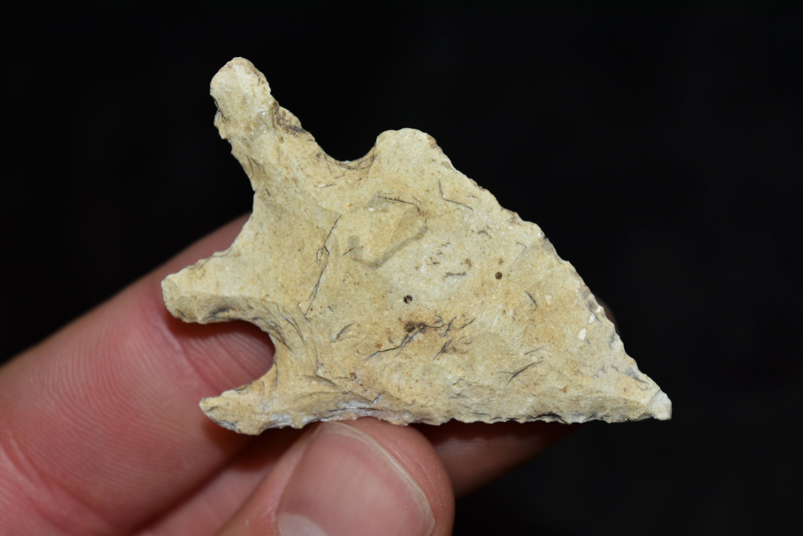 2 3/16" Bandy Point, FB David Shand near Wimberly, (1 of 6)