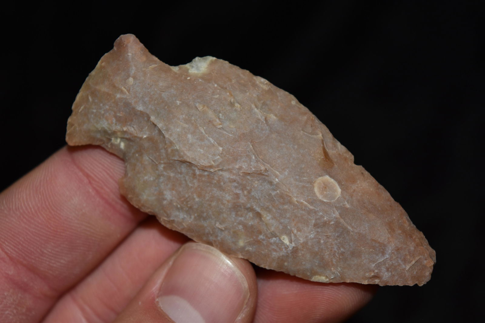 2 7/8" Etley Point, FB David Shand near Wimberly, (1 of 7)