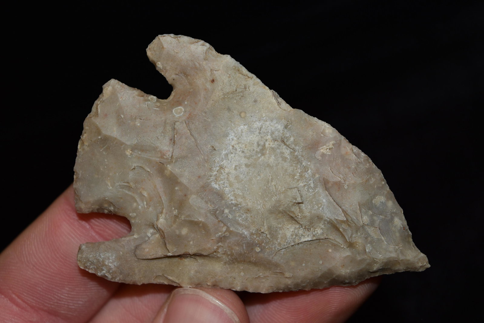 2 7/8" Base Tang Point, FB David Shand near Wimberly, (1 of 7)