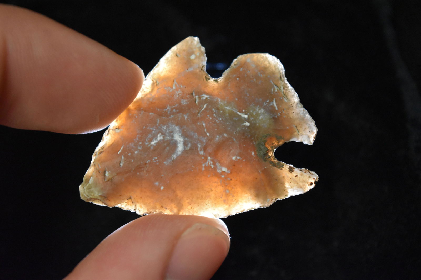 1 1/2" Edgewood Point, FB David Shand near Wimberly, (1 of 6)