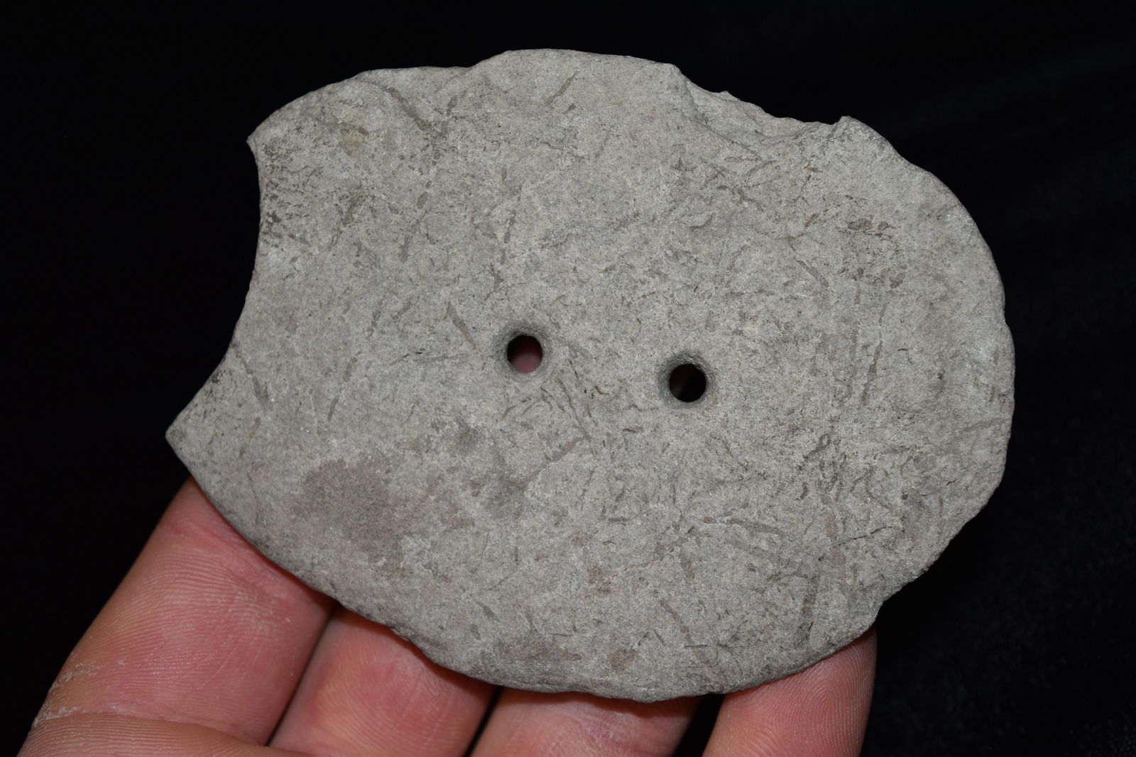 3 7/8" Two Holed Gorget, FB David Shand near Wimberly, (1 of 6)