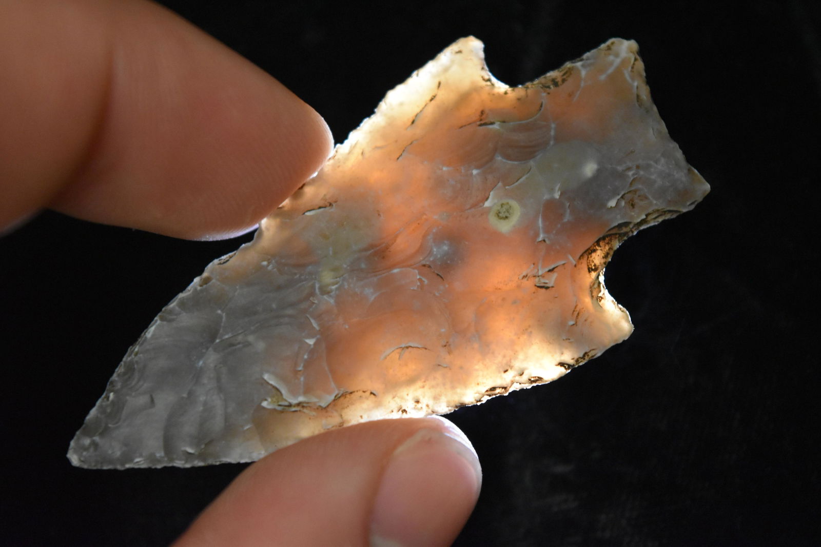 2 1/2" Castroville Point, FB David Shand near Wimberly, (1 of 8)