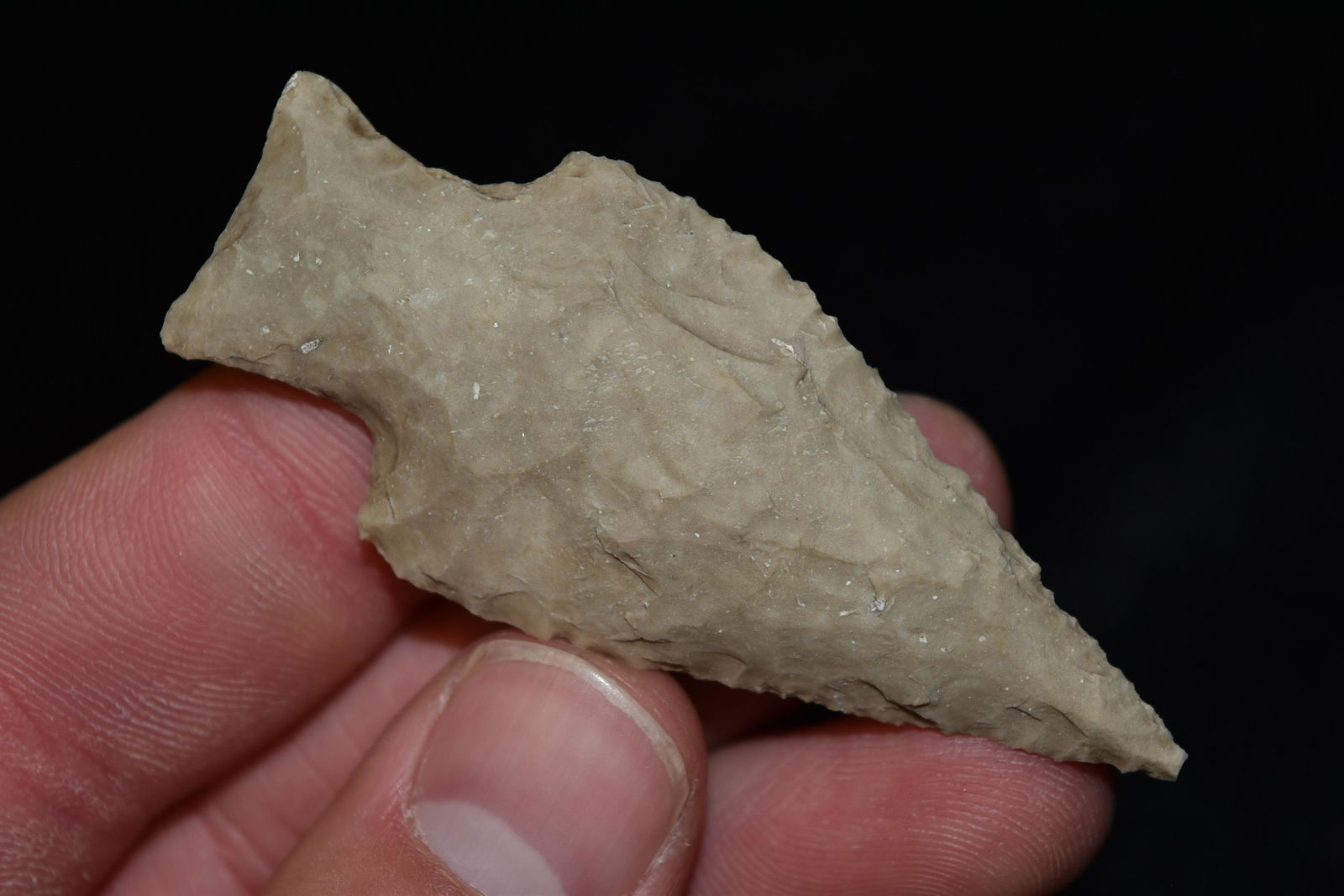 2 5/8" Zorra Point, FB David Shand near Wimberly, (1 of 7)