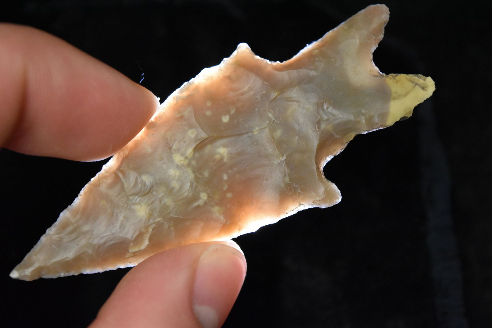 3" Perdenales Point, FB David Shand near Wimberly, (1 of 8)