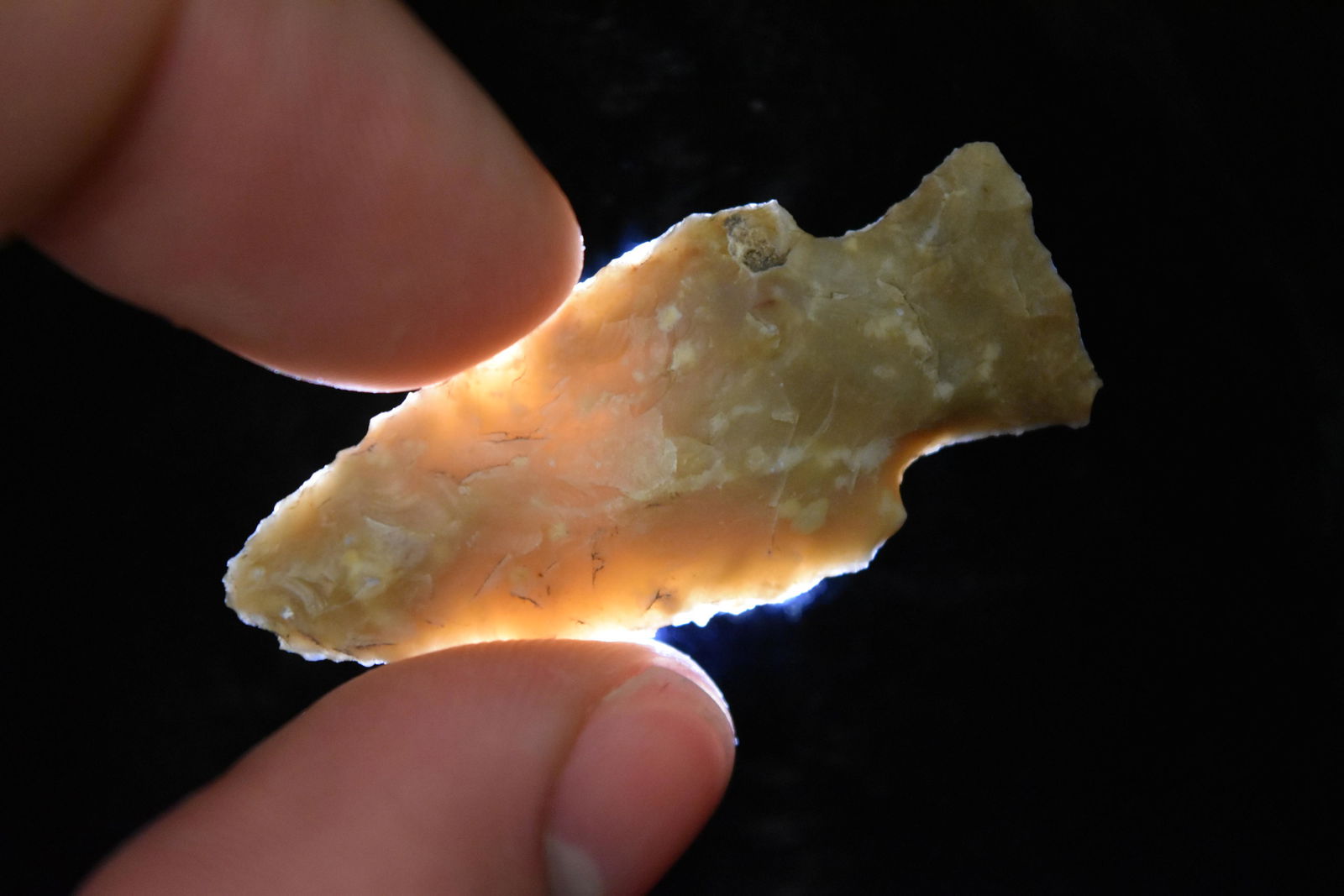 1 3/4" Darl Stemmed Point, FB David Shand near (1 of 5)