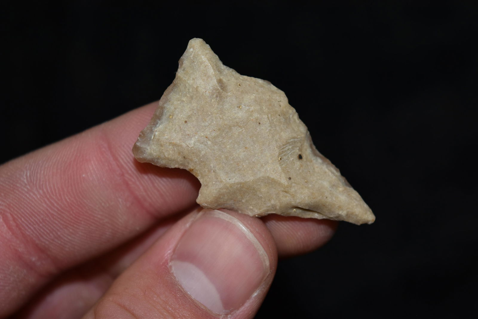 1 1/2" Darl Stemmed Point, FB David Shand near (1 of 5)