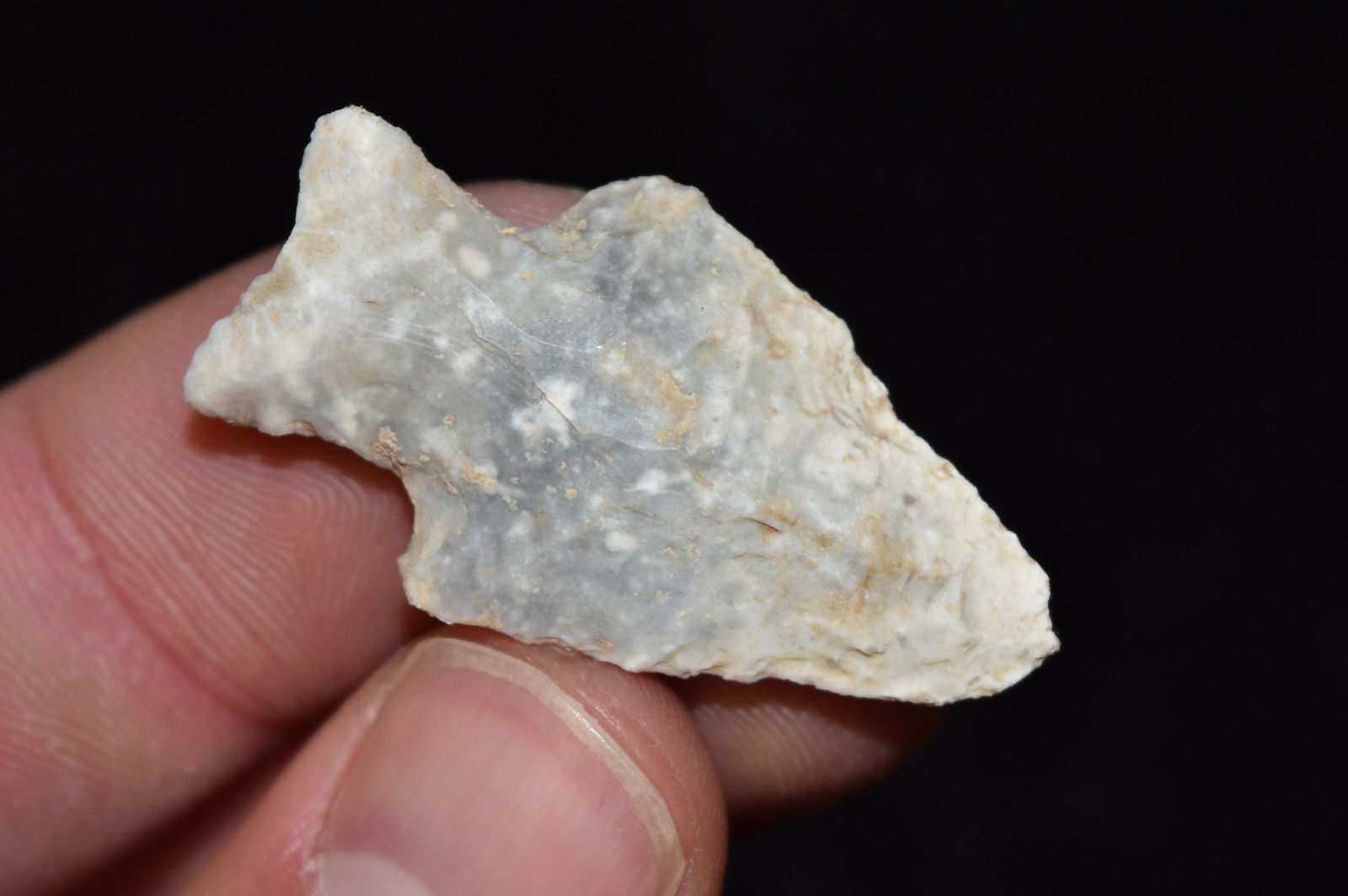 1 5/8" Darl Stemmed Point, FB David Shand near (1 of 4)