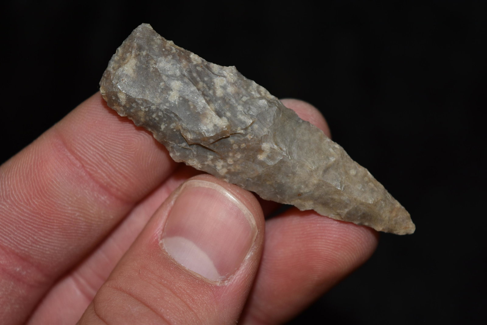 2 1/2" Nolan Point, FB David Shand near Wimberly, (1 of 5)