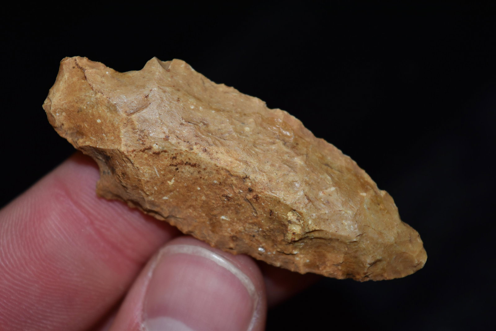2 1/4" Gary Point, Mississippi, Gem Grade Arrowhead, (1 of 5)
