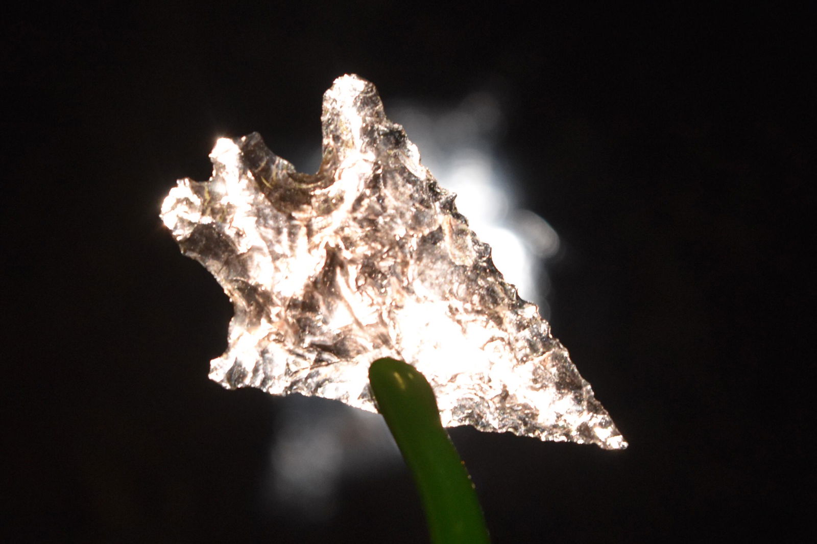 1" Obsidian Bird Point, Lake Co, Oregon, Gem Grade (1 of 5)