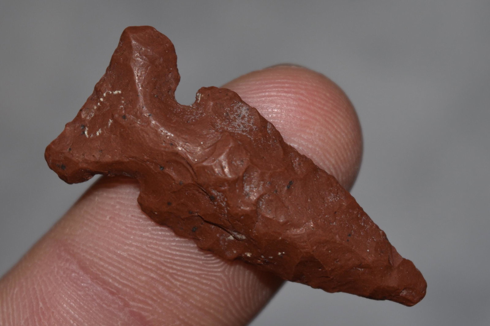 1 1/2" Northern Point, Lake Co, Oregon, Gem Grade (1 of 4)