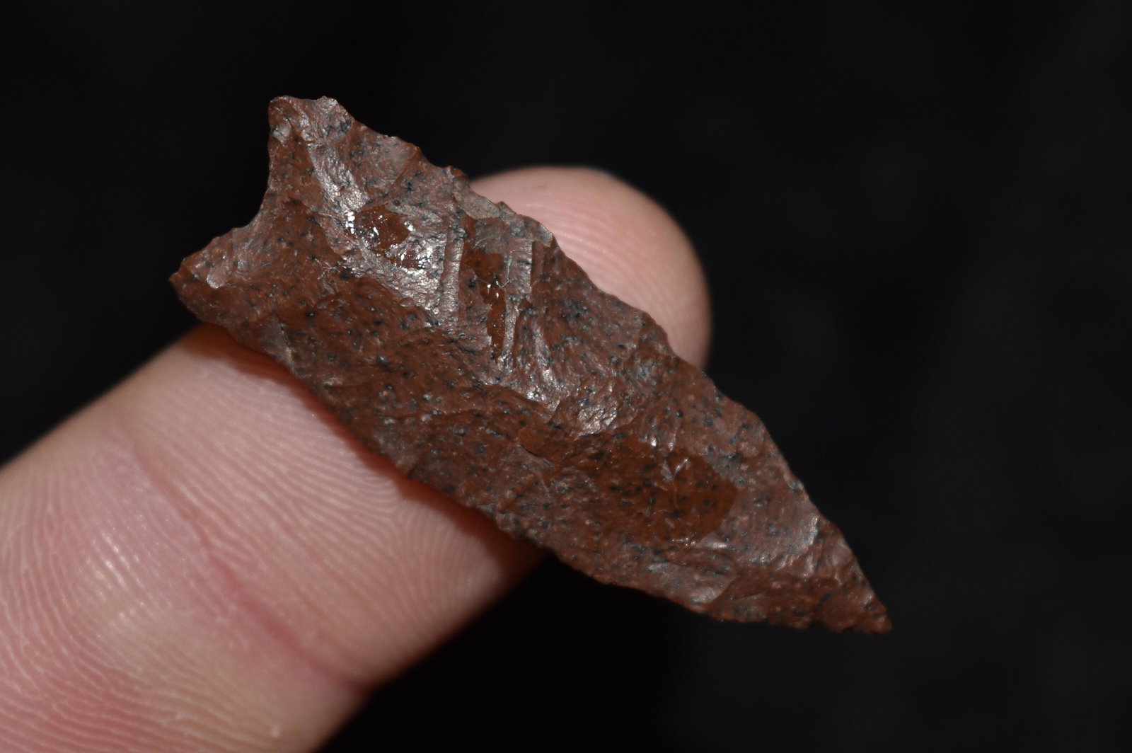 1 1/2" Plainview Point, Lake Co, Oregon, Gem Grade (1 of 4)