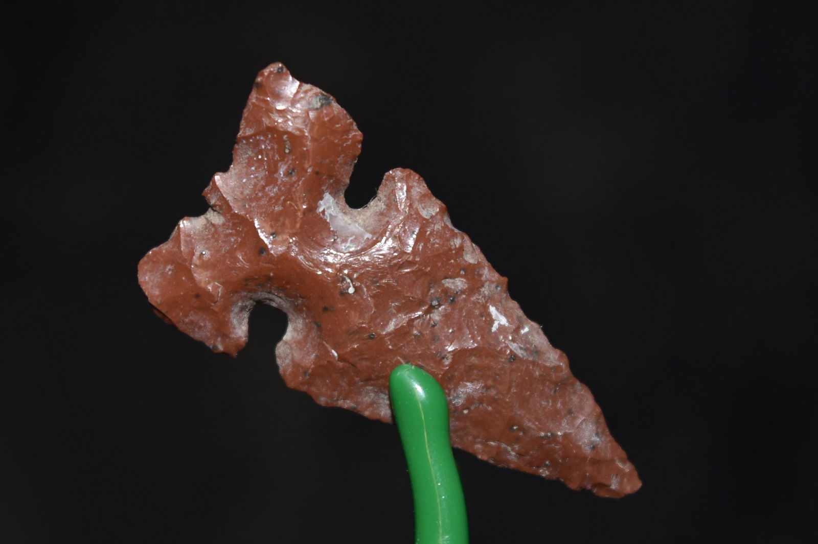 1" Obsidian Northern Wolf Ear Point, Lake Co, Oregon, (1 of 4)