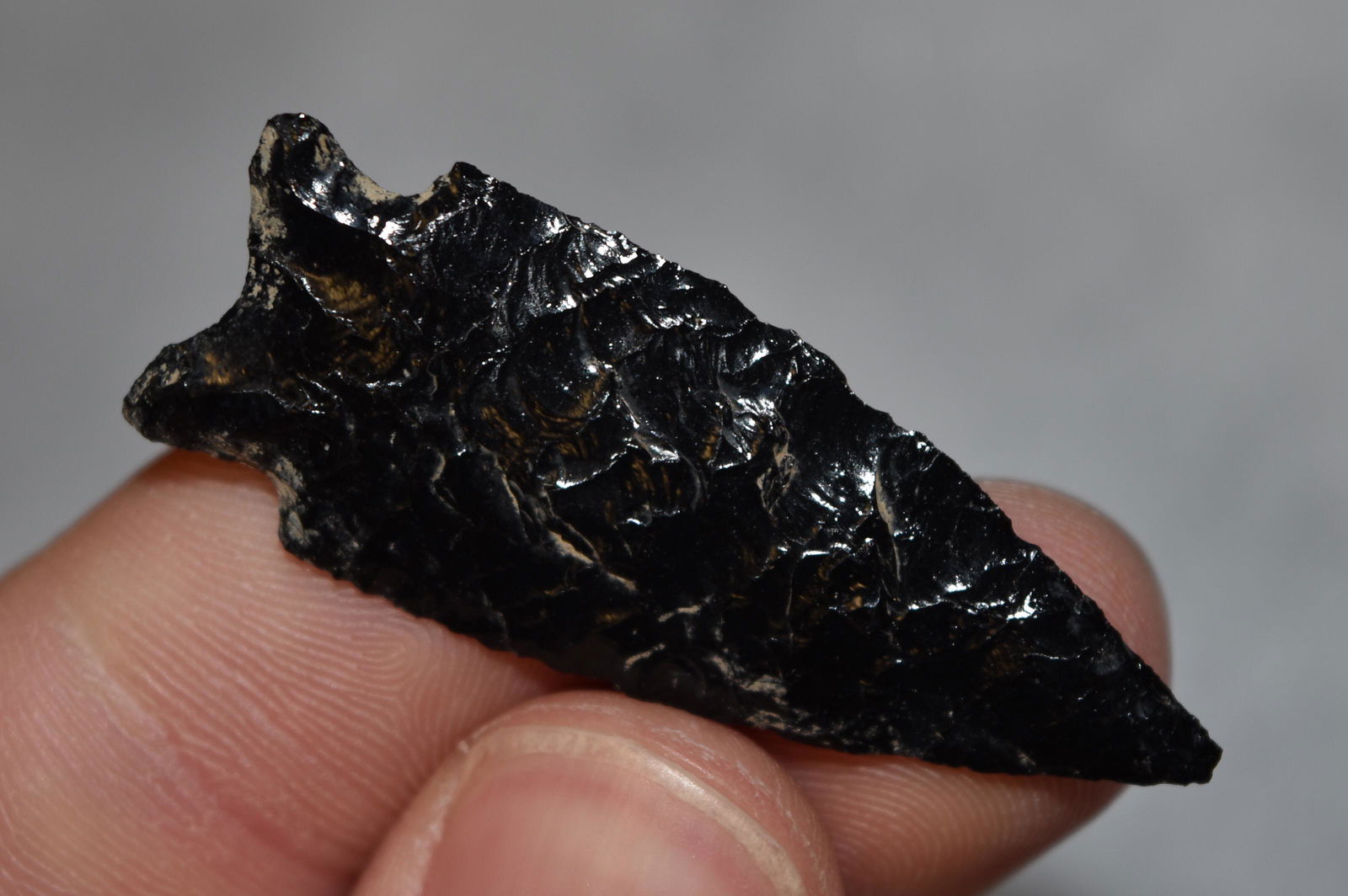 1 7/8" Obsidian Elko Eared Point, Lake Co, Oregon, Gem (1 of 5)