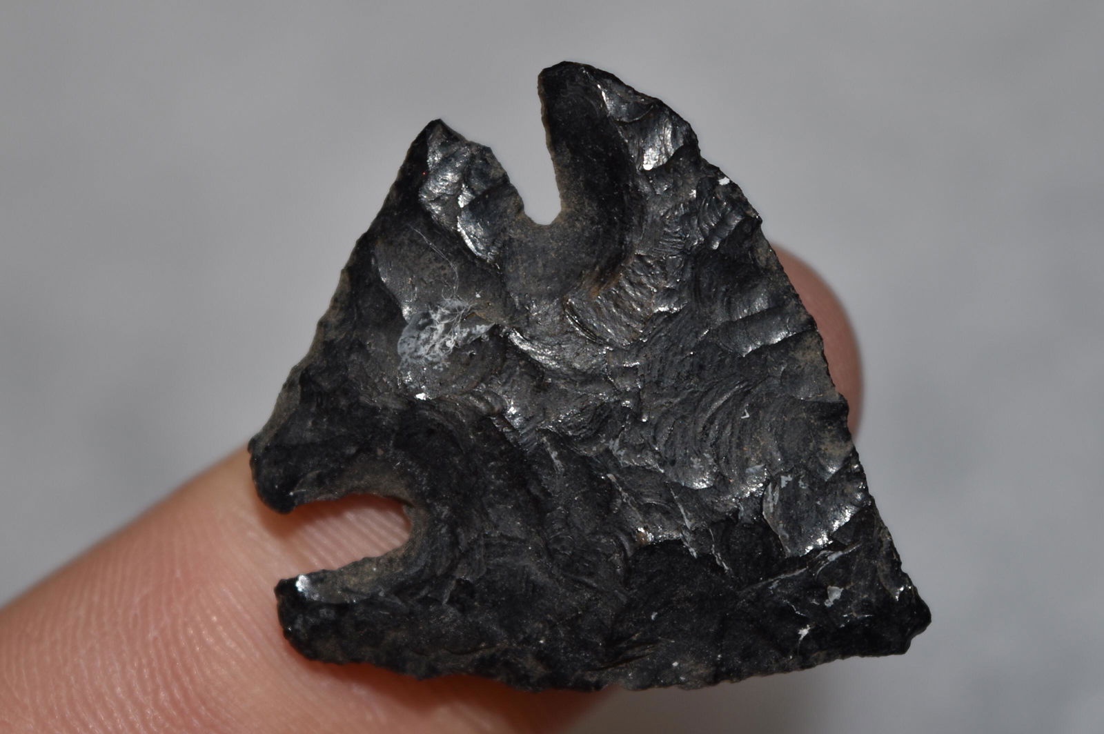 1 1/4" Obsidian Side Notch Point, Lake Co, Oregon, Gem (1 of 5)