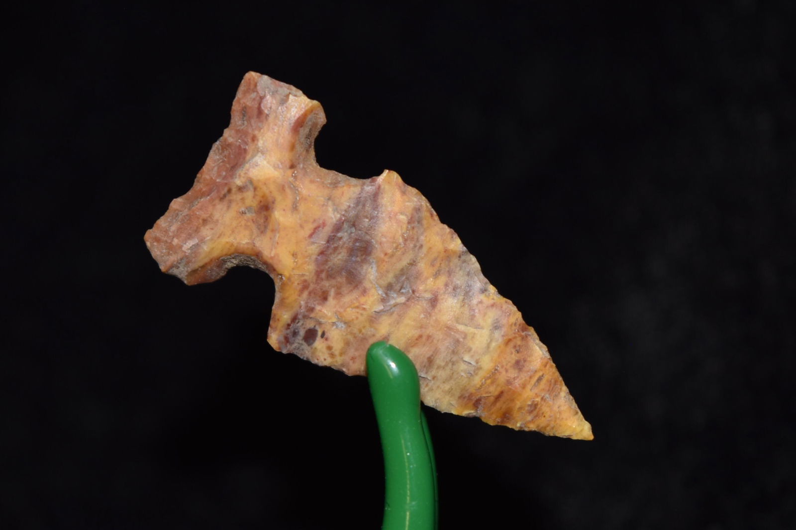 1" Northern Wolf Eared Point, Lake Co, Oregon, Gem (1 of 4)