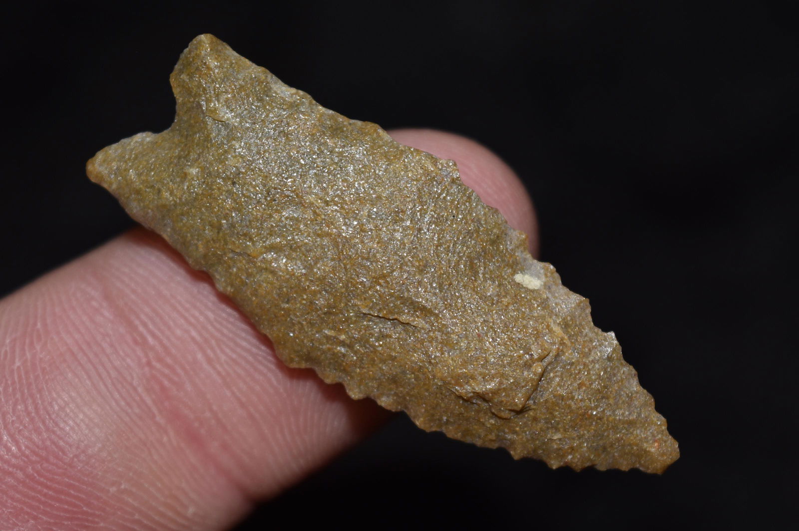 1 3/4" Plainview Point, Lake Co, Oregon, Gem Grade (1 of 4)