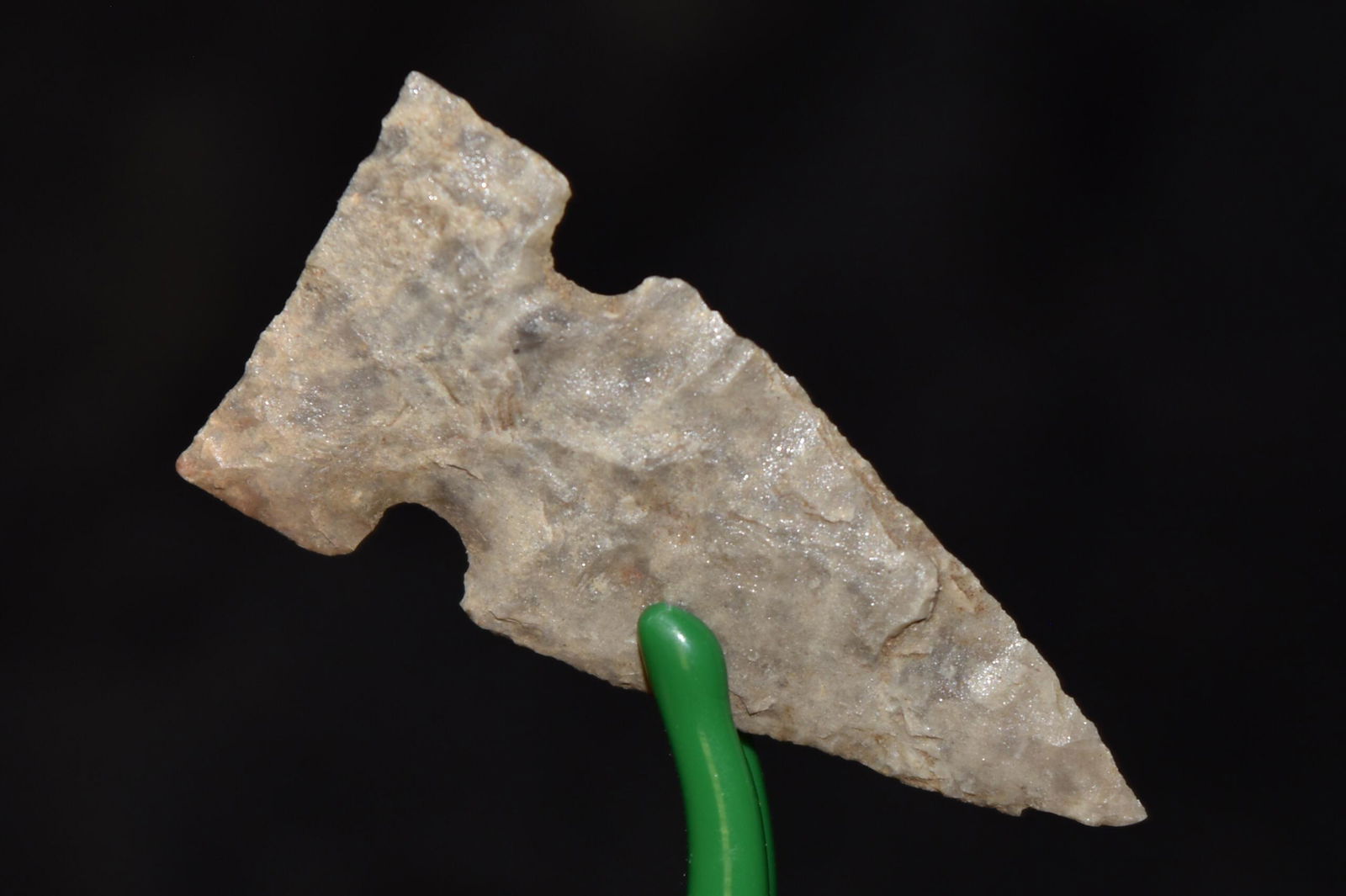 1 3/8" Northern Wolf Eared Point, Lake Co, Oregon, Gem (1 of 4)