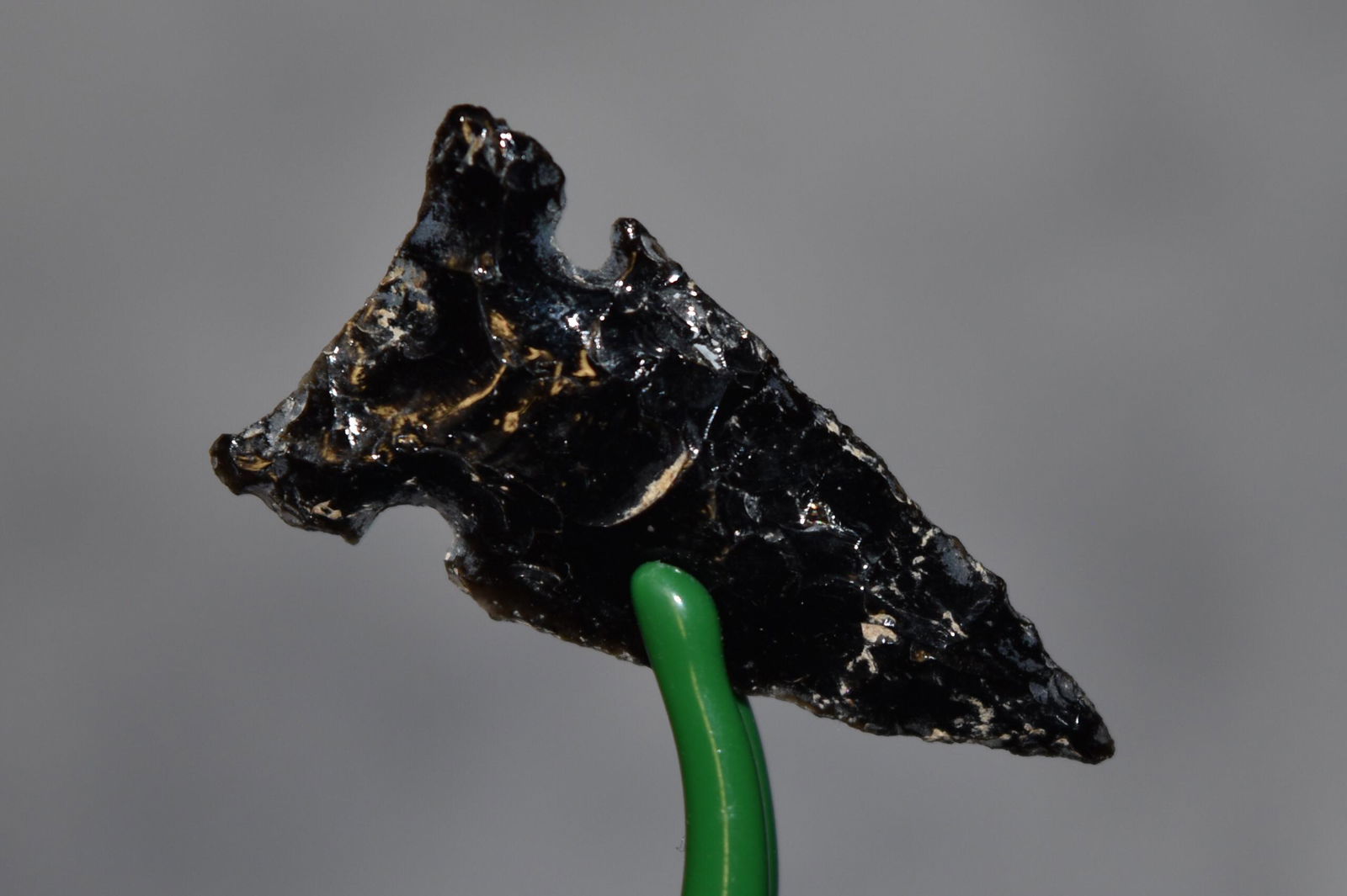 1 1/4" Obsidian Northern Wolf Eared Point, Lake Co, (1 of 4)