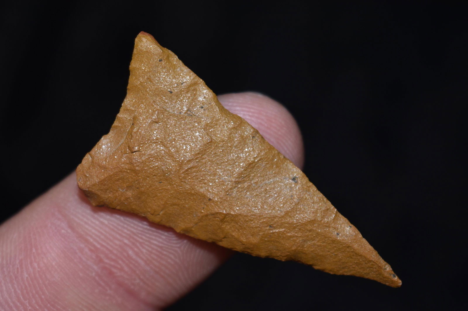 1 5/8" Madison Point, Kentucky, Gem Grade Arrowhead, (1 of 4)