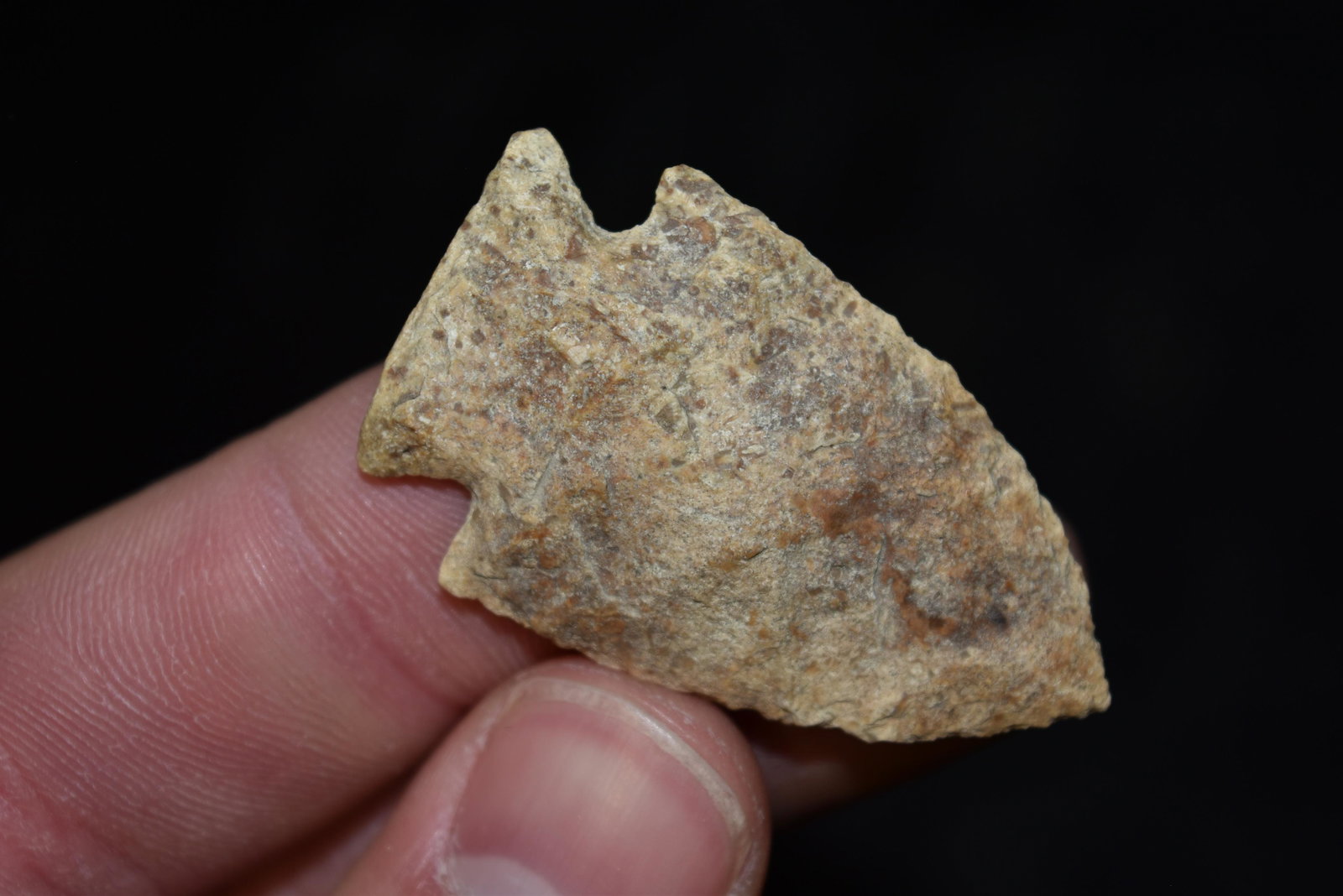 1 3/4" Corner Notch Point, Jefferson Co, Kentucky, Gem (1 of 4)
