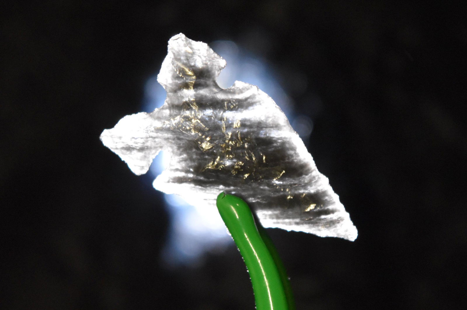 1" Obsidian Northern Wolf Eared Point, Lake Co, Oregon, (1 of 5)