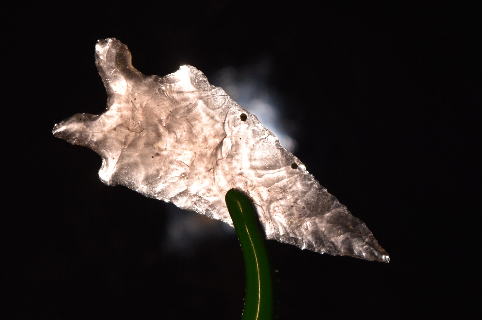 1 1/2" Obsidian Bird Point, Lake Co, Oregon, Gem Grade (1 of 5)