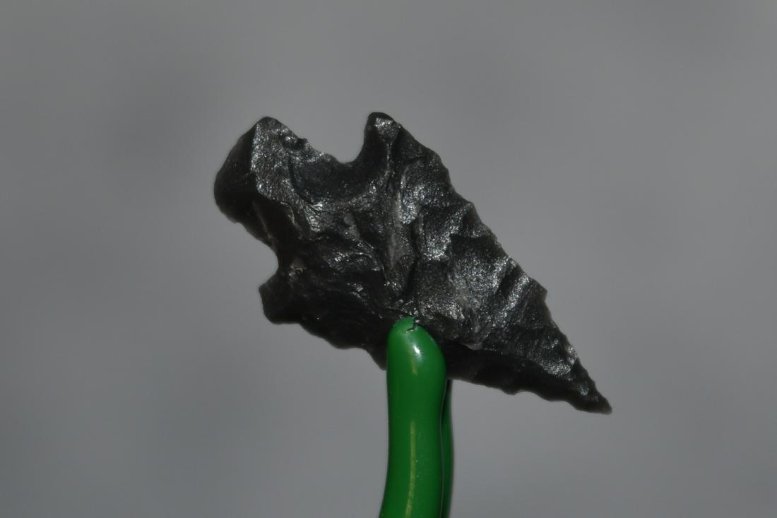 1 3/4" Bird Point, Lake Co, Oregon, Gem Grade (1 of 4)