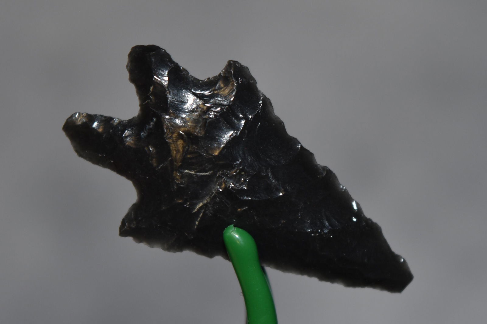 1 3/8" Obsidian Bird Point, Lake Co, Oregon, Gem Grade (1 of 4)