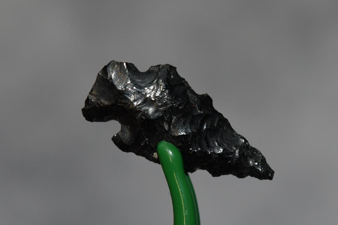 1" Obsidian Bird Point, Lake Co, Oregon, Gem Grade (1 of 4)