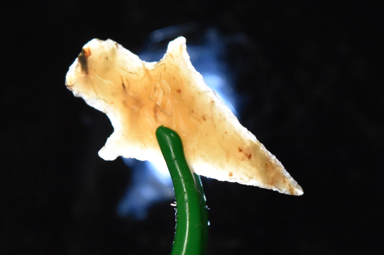 1 1/4" Long Stemmed Barbed Corner Notch Point, Agate (1 of 5)