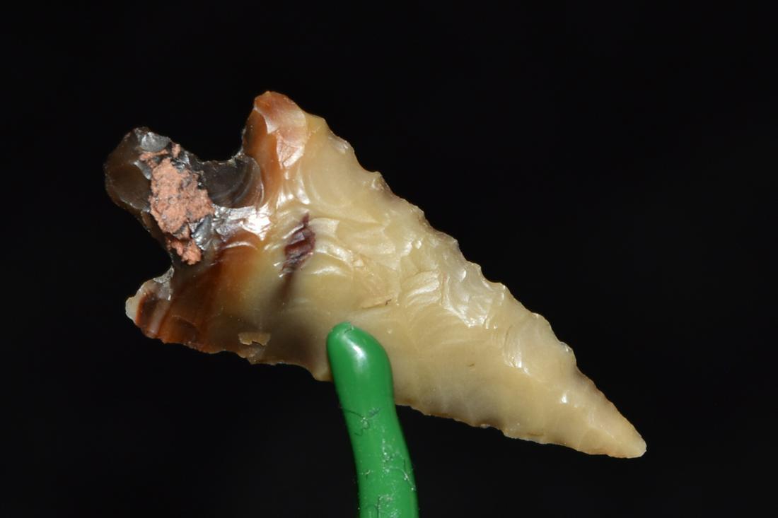 1 1/8" Columbia Plateau Serrated Point, Brown/Orange (1 of 4)