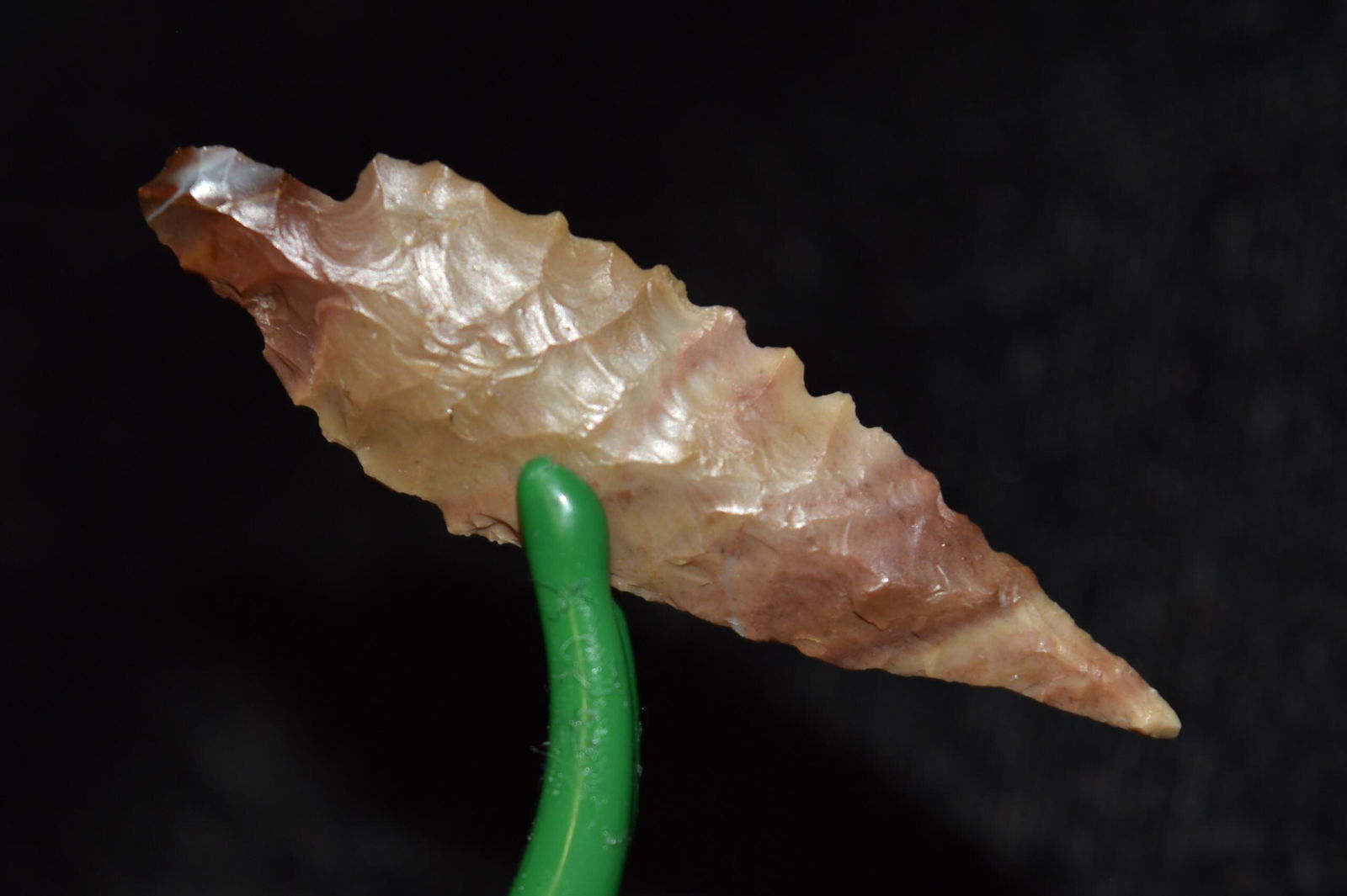 1 1/2" Dagger Point, Columbia River Valley, Oregon, Ex (1 of 4)