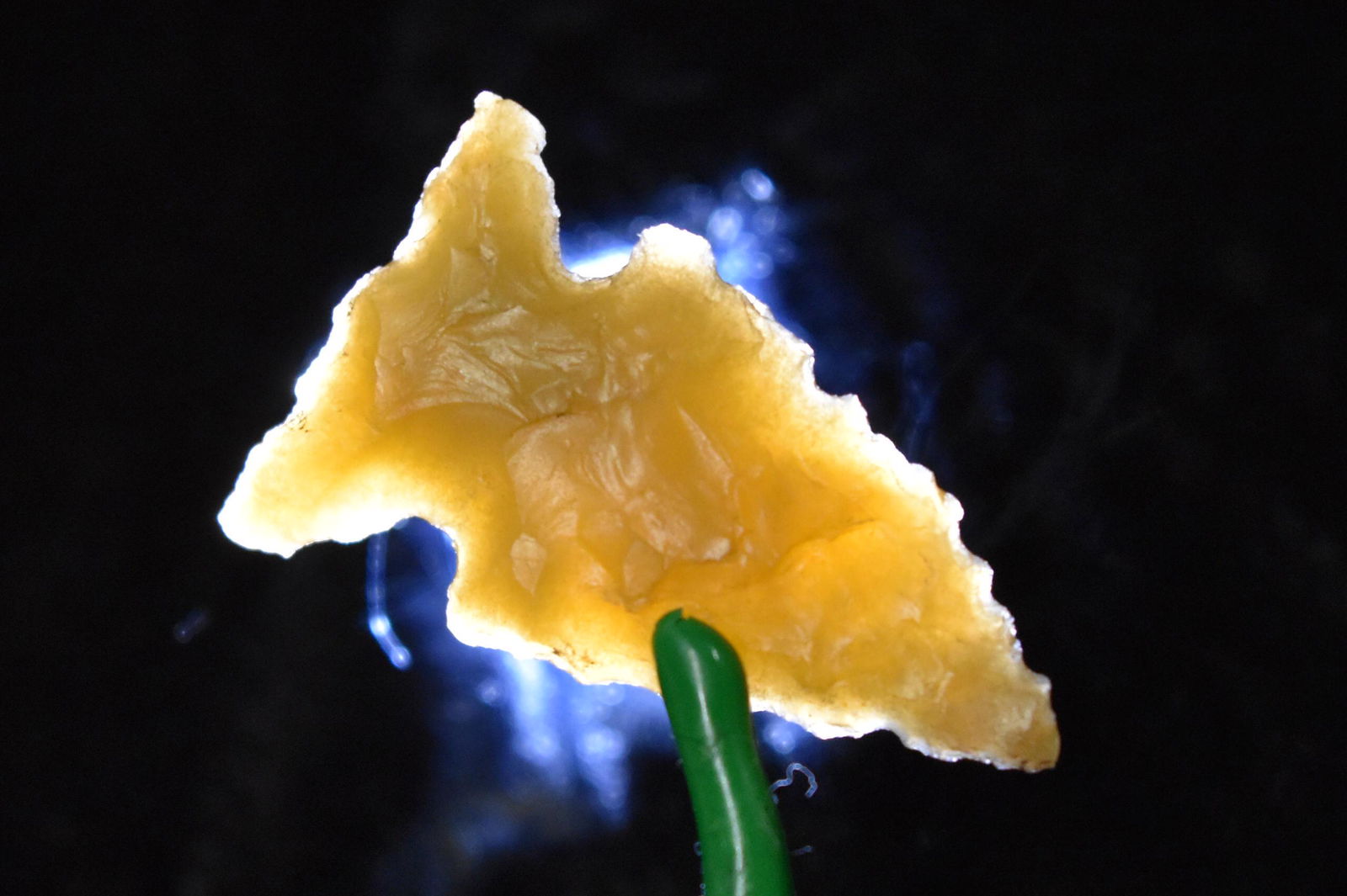 1 1/8" Side Notch Point, Yellow Agate, Columbia River (1 of 5)