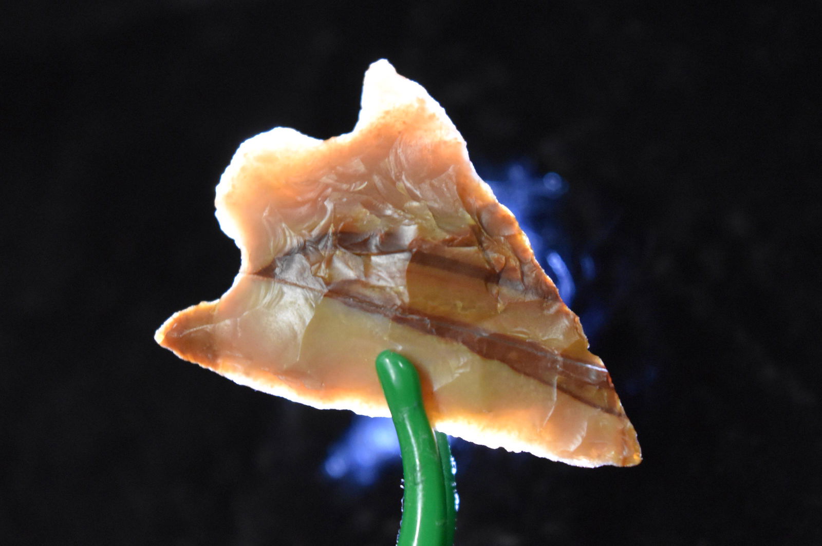 1 3/8" Basal Notched Point, Agatized Wood, Columbia (1 of 5)