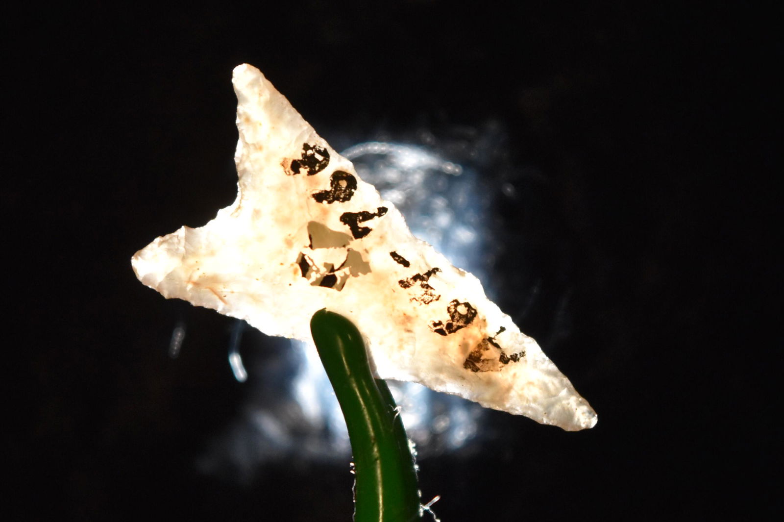 1 1/8" Gunther Triangular Point, Moon Agate, Columbia (1 of 5)