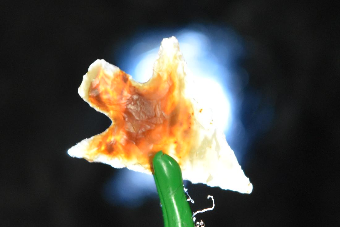 7/8" Columbia Plateau Point, Wasco Agate, Columbia (1 of 5)