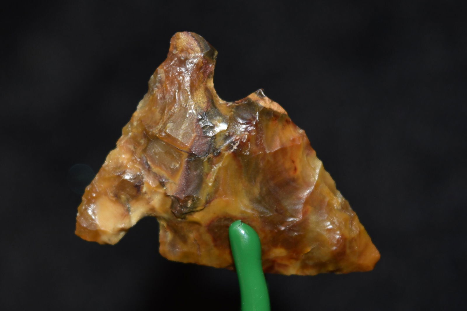 1" Side Notch Point, Agatized Wood, Umatilla, Oregon, (1 of 4)