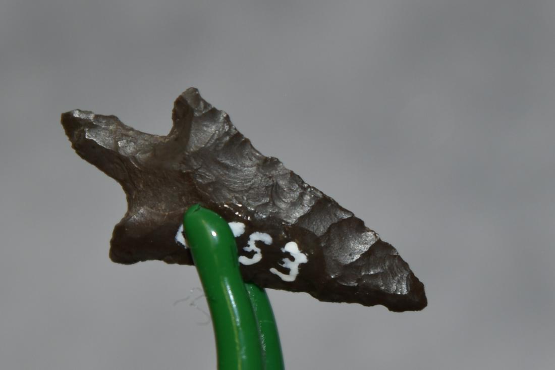 7/8" Pin Stemmed Dagger Point, Chert, Columbia River (1 of 4)