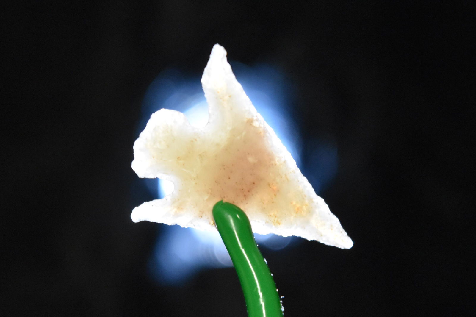 3/4" Winged Columbia Plateau Point, Agate, Klickitat, (1 of 5)